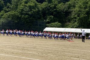 IMG_2981.jpg