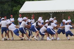 IMG_5895.jpg