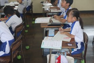 IMG_6039.jpg