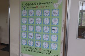 IMG_6140.jpg