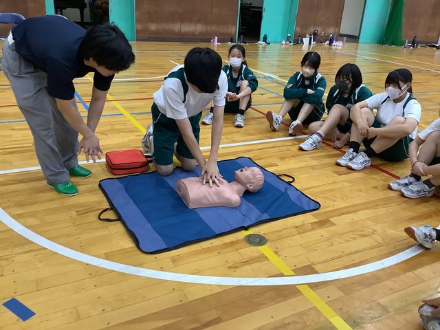 画像 -20250627-015349-d4281eae.jpg